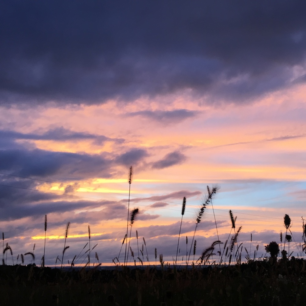 Meet your Posher, Carolina